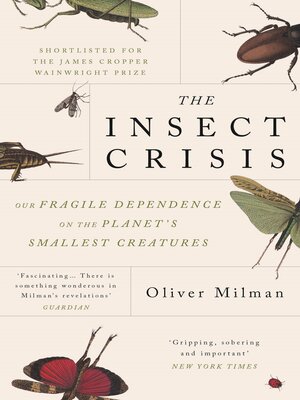 cover image of The Insect Crisis